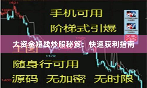 大资金短线炒股秘笈：快速获利指南