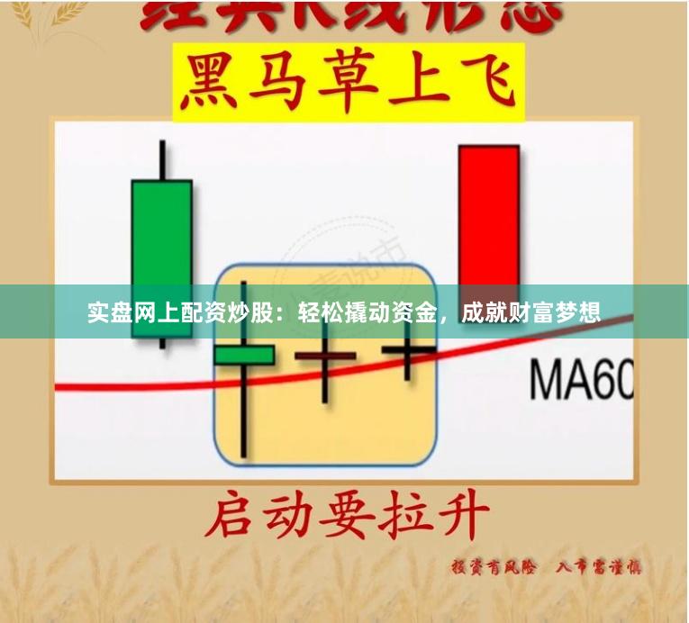 实盘网上配资炒股：轻松撬动资金，成就财富梦想